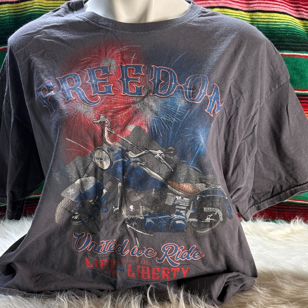 Freedom Graphic Men's T-Shirt - Gray